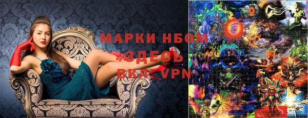 индика Сосновка