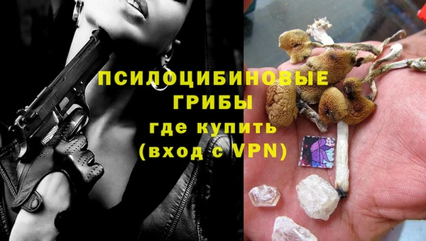 герыч Сосновый Бор