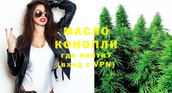 индика Сосновка