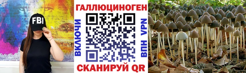 ссылка на мегу зеркало  Городец  Галлюциногенные грибы прущие грибы 